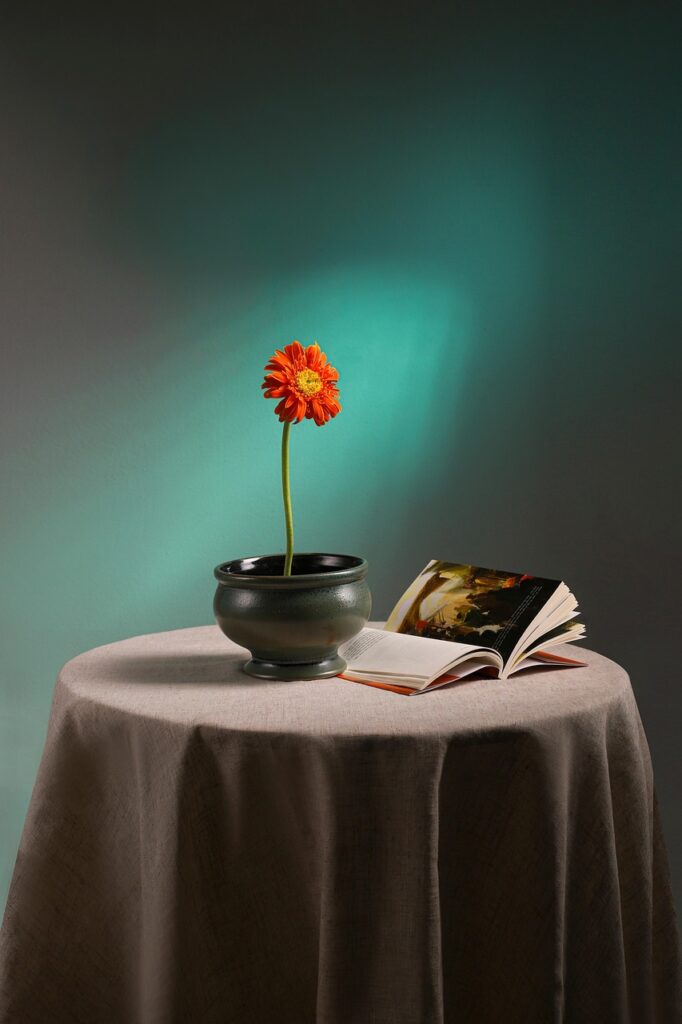 flowers, decor, gerbera, vase, nature, flower vase, flower wallpaper, interior design, flower background, beautiful flowers, book